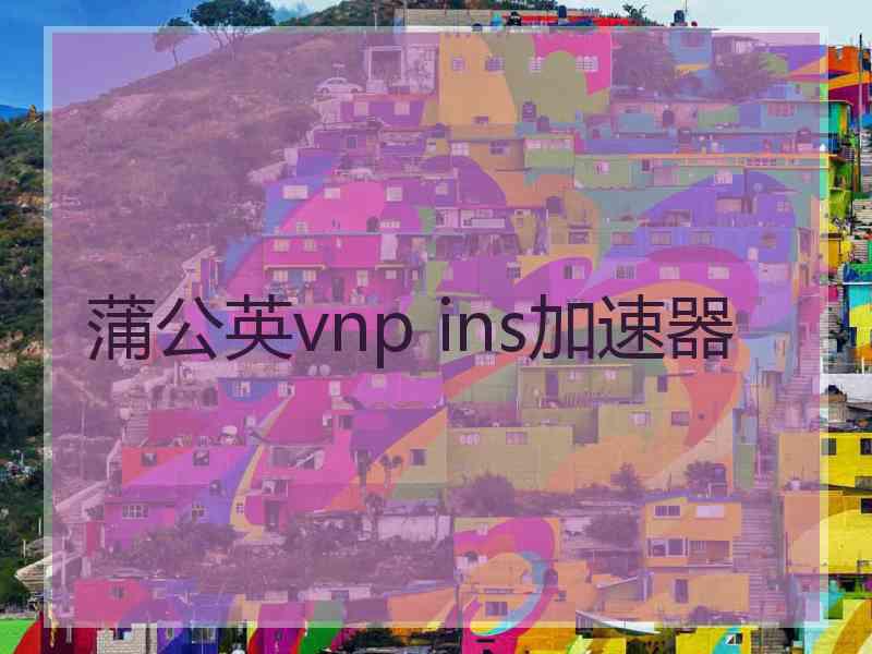 蒲公英vnp ins加速器