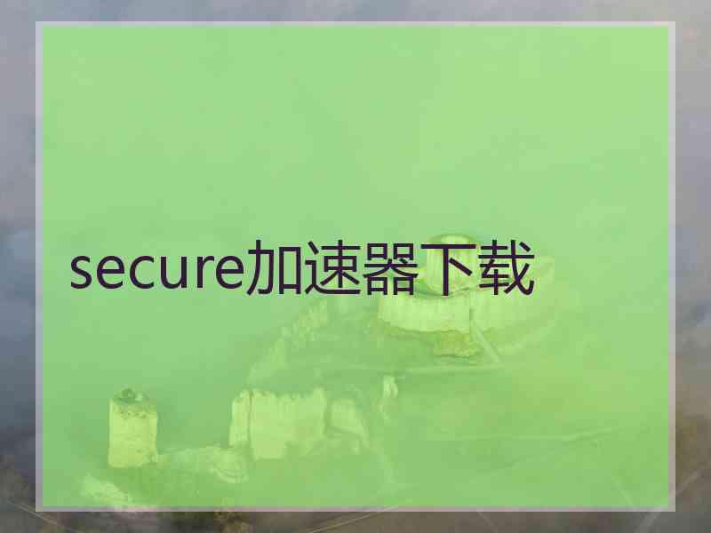 secure加速器下载