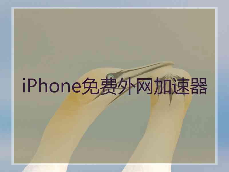 iPhone免费外网加速器