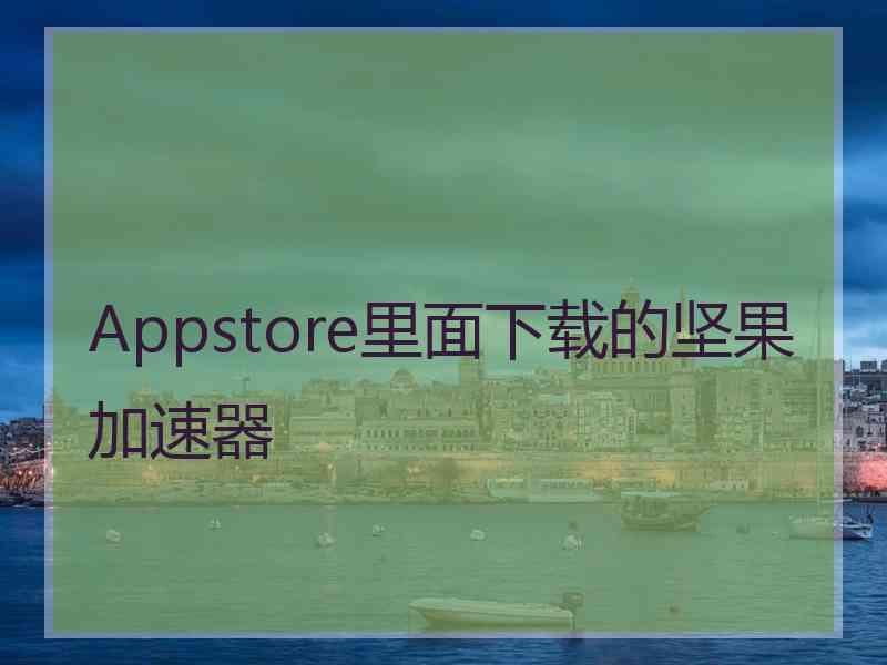 Appstore里面下载的坚果加速器