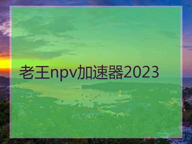 老王npv加速器2023