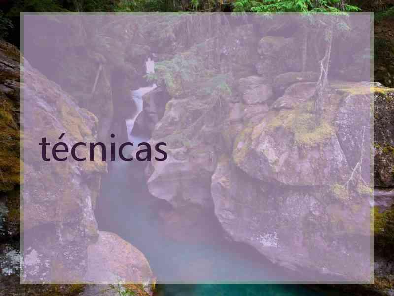 técnicas