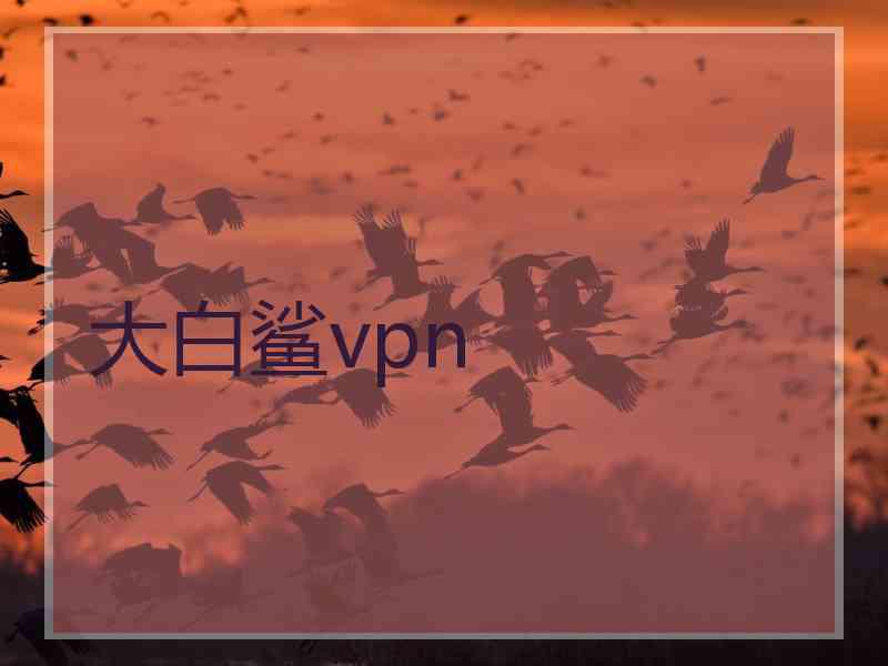 大白鲨vpn