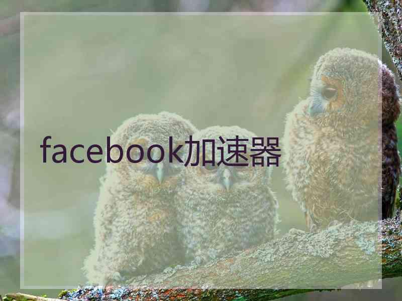 facebook加速器