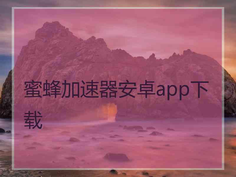 蜜蜂加速器安卓app下载