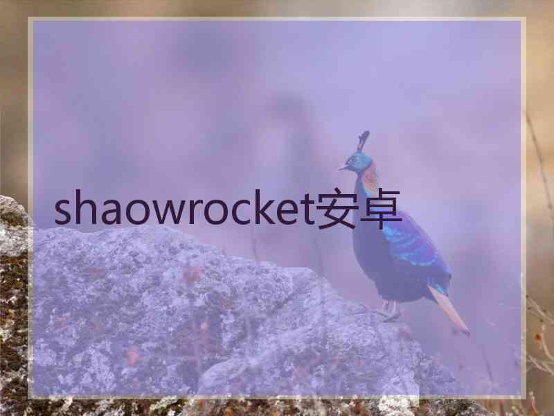 shaowrocket安卓