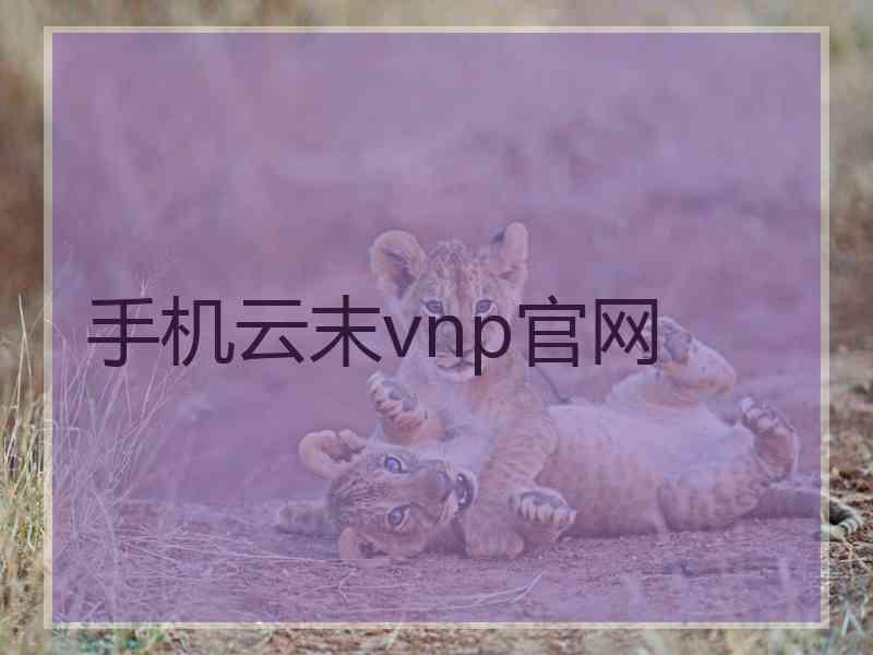 手机云末vnp官网