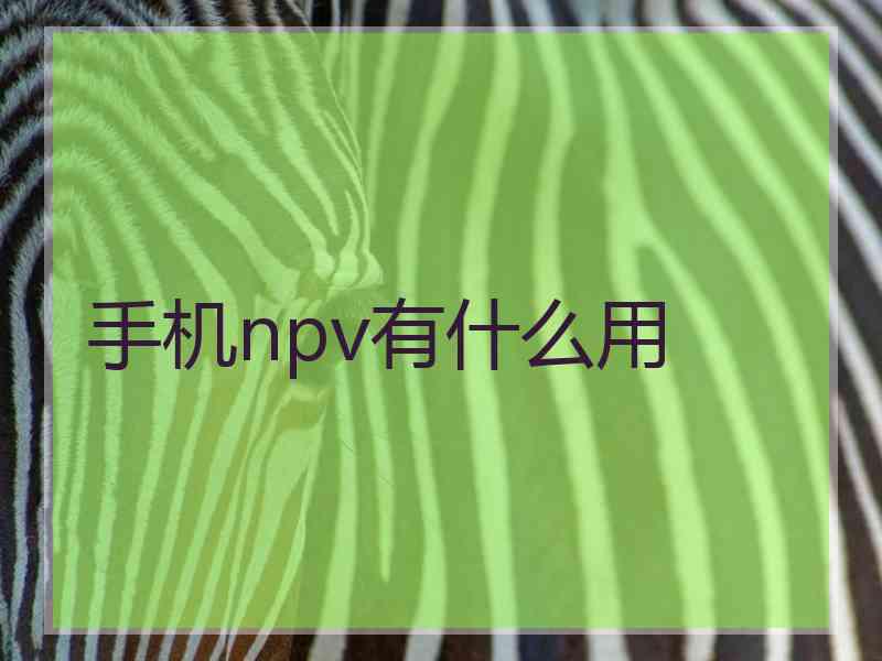 手机npv有什么用