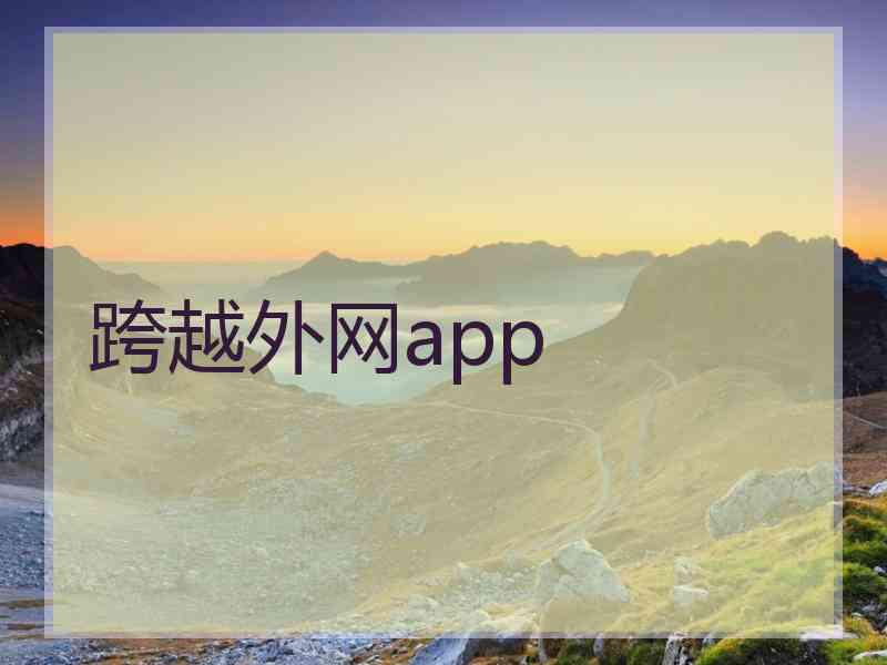 跨越外网app