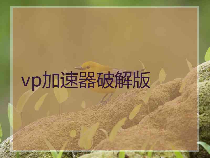 vp加速器破解版