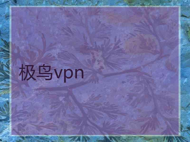 极鸟vpn