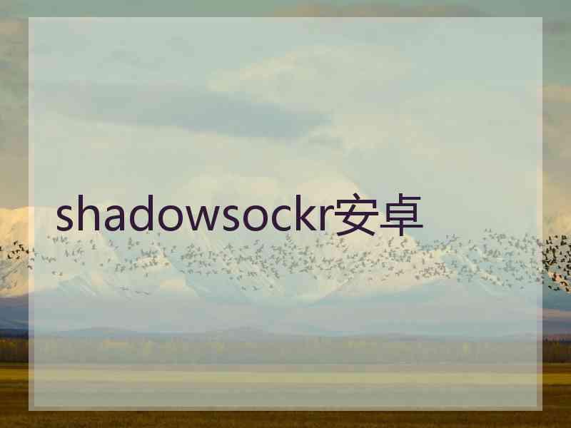shadowsockr安卓