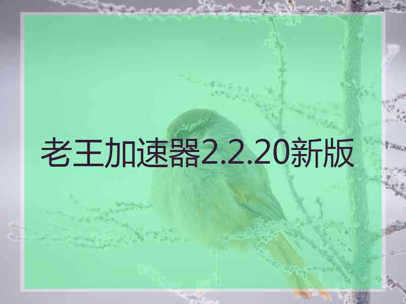 老王加速器2.2.20新版