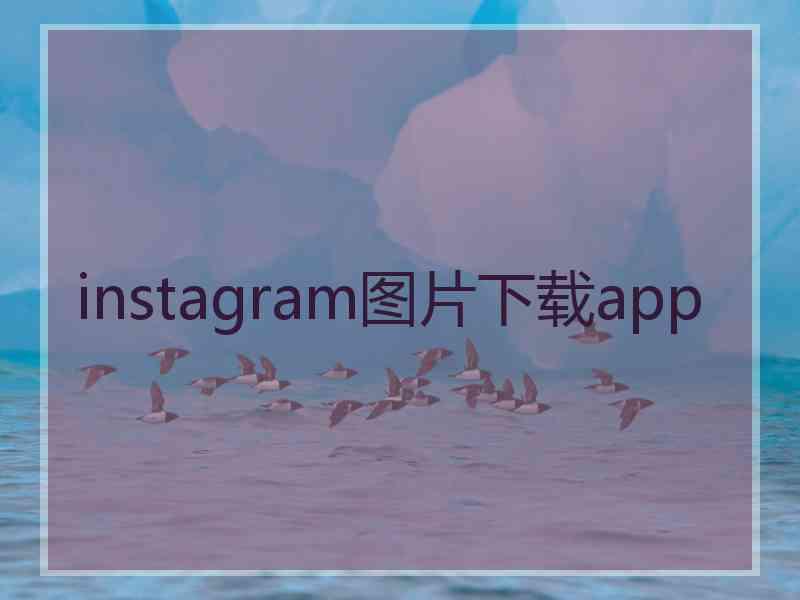 instagram图片下载app