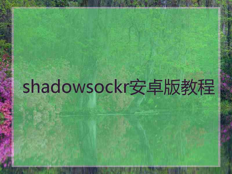 shadowsockr安卓版教程