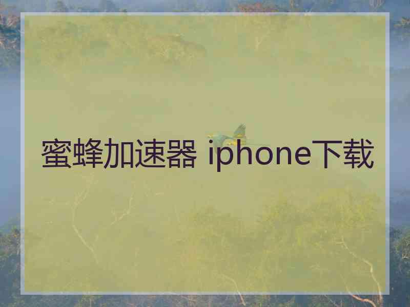 蜜蜂加速器 iphone下载