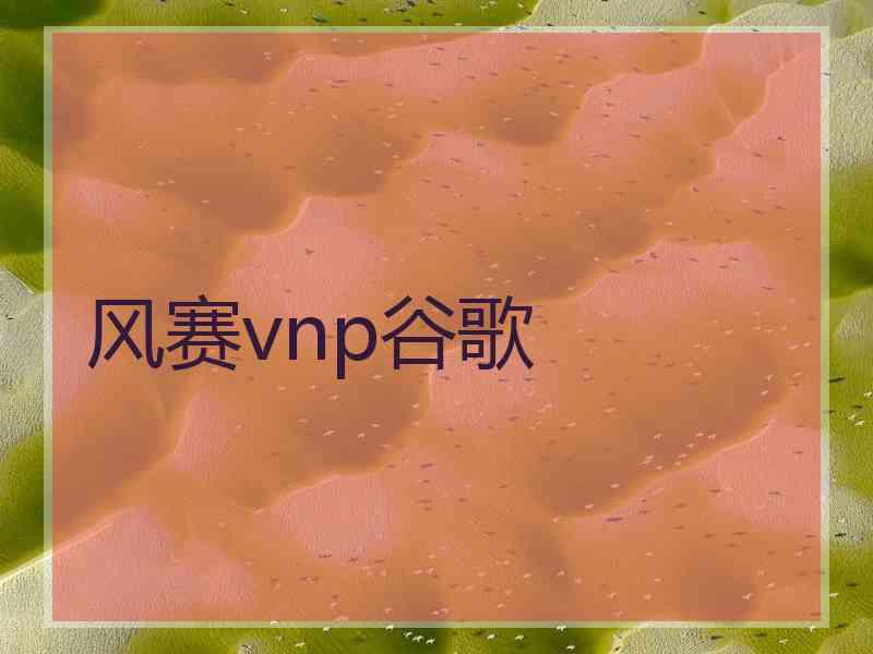 风赛vnp谷歌