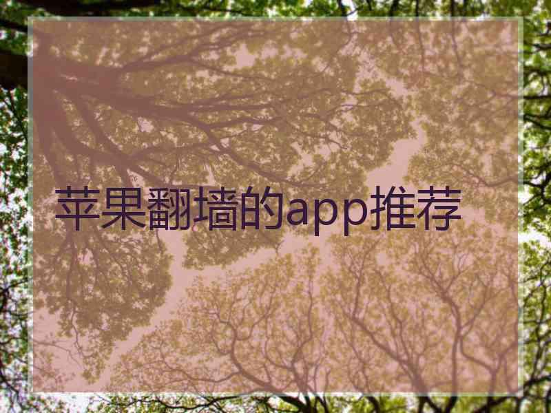 苹果翻墙的app推荐