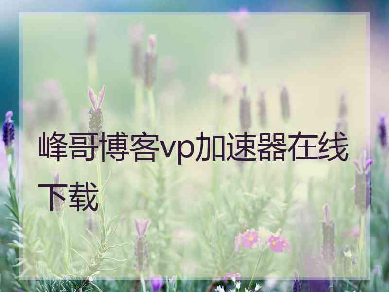 峰哥博客vp加速器在线下载