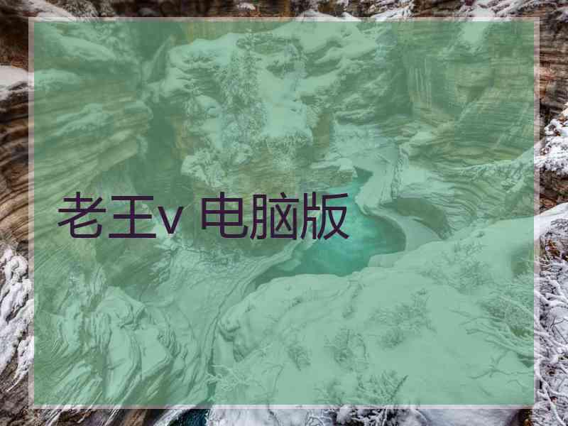 老王v 电脑版