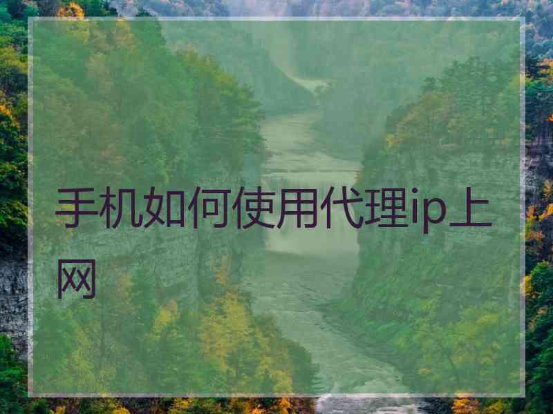 手机如何使用代理ip上网