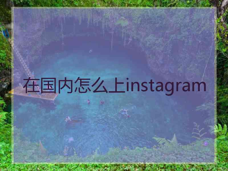 在国内怎么上instagram