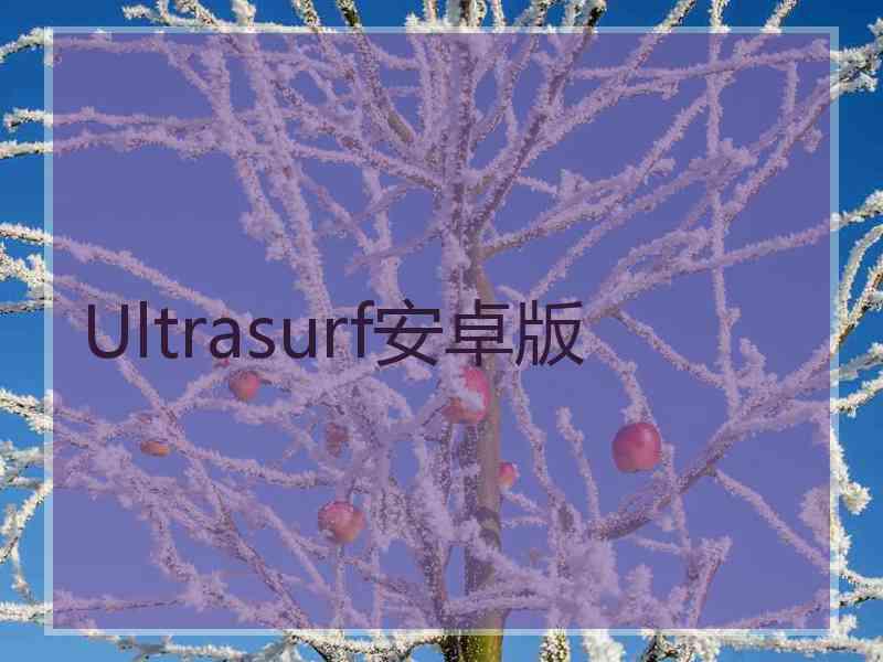 Ultrasurf安卓版