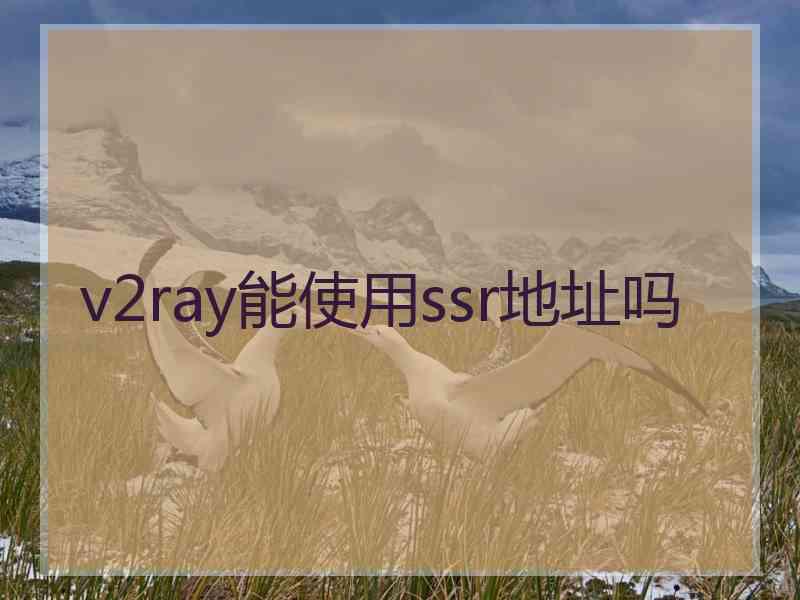 v2ray能使用ssr地址吗