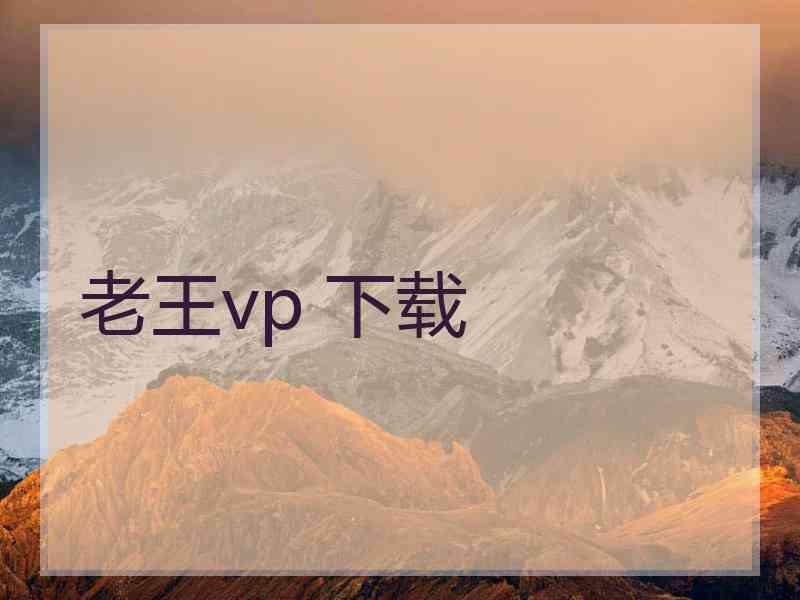 老王vp 下载