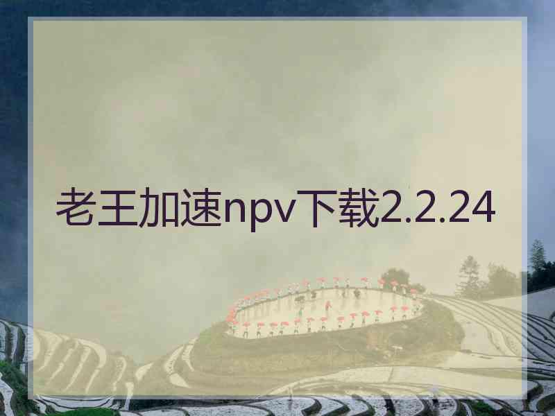 老王加速npv下载2.2.24