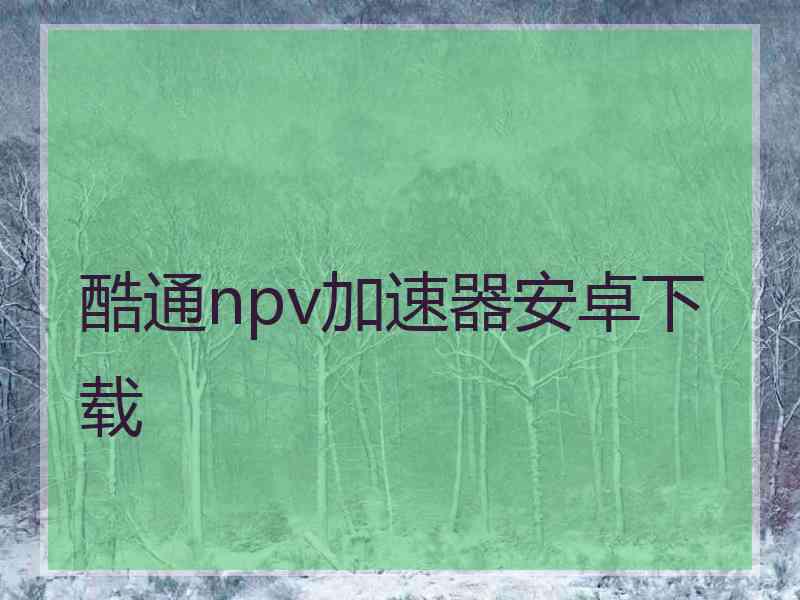 酷通npv加速器安卓下载