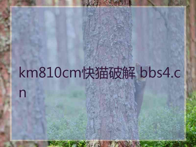 km810cm快猫破解 bbs4.cn