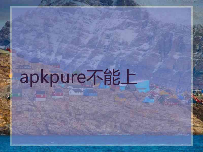 apkpure不能上