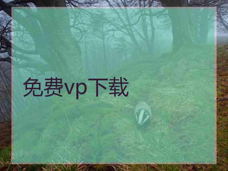 免费vp下载