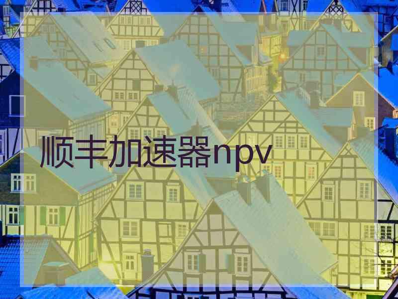 顺丰加速器npv