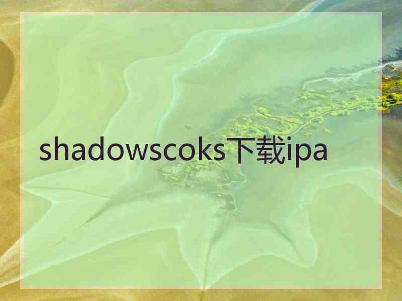 shadowscoks下载ipa