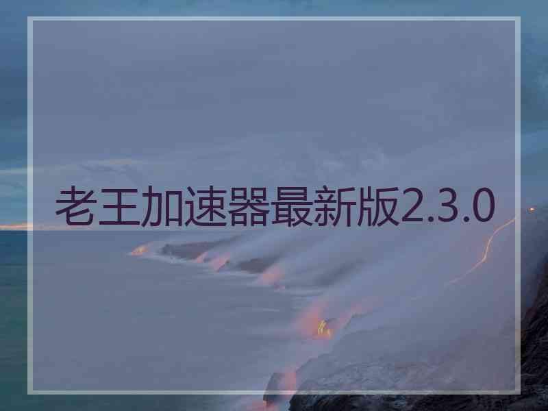 老王加速器最新版2.3.0