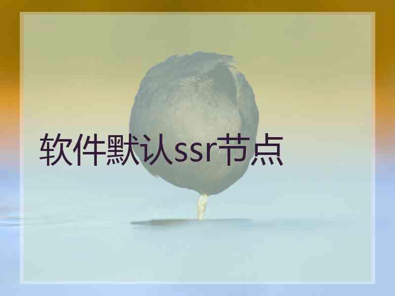 软件默认ssr节点