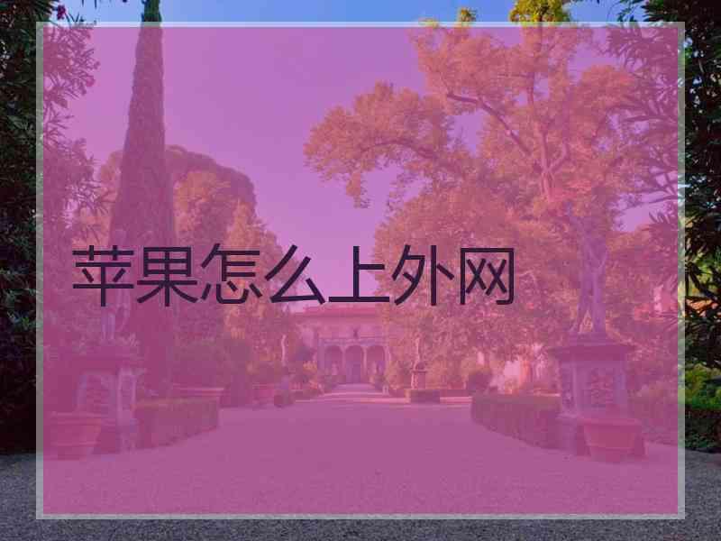 苹果怎么上外网