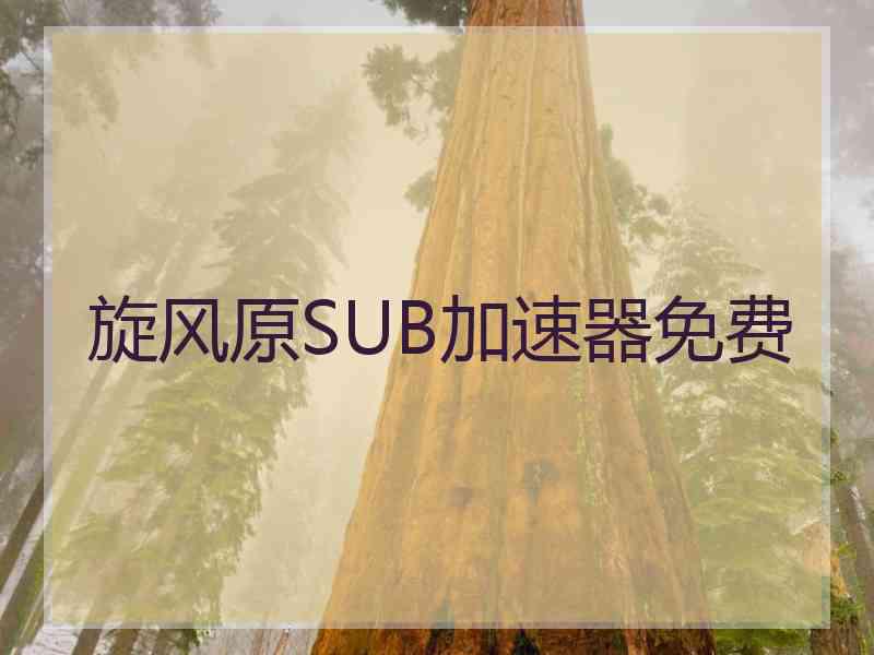 旋风原SUB加速器免费