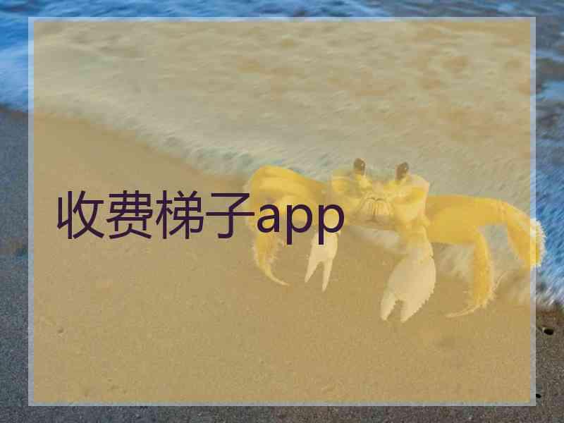 收费梯子app