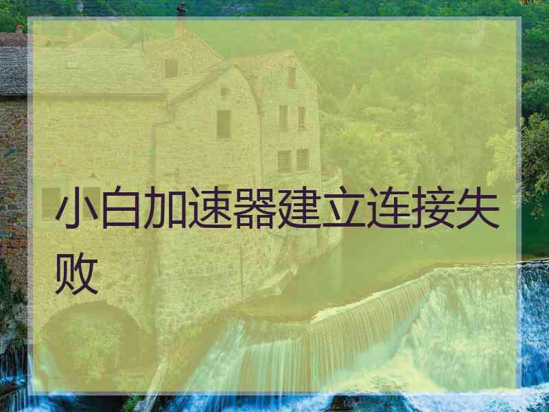 小白加速器建立连接失败