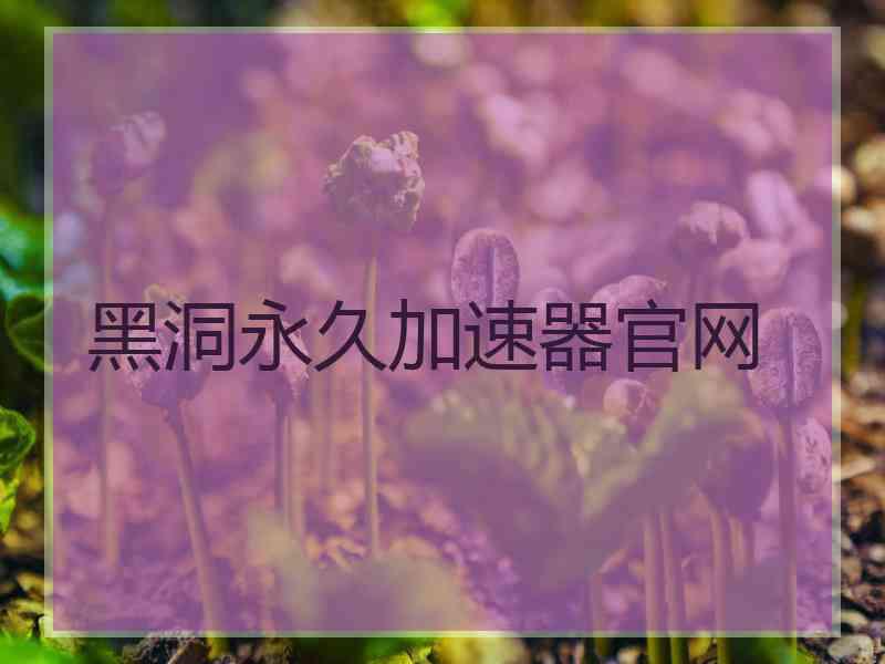 黑洞永久加速器官网