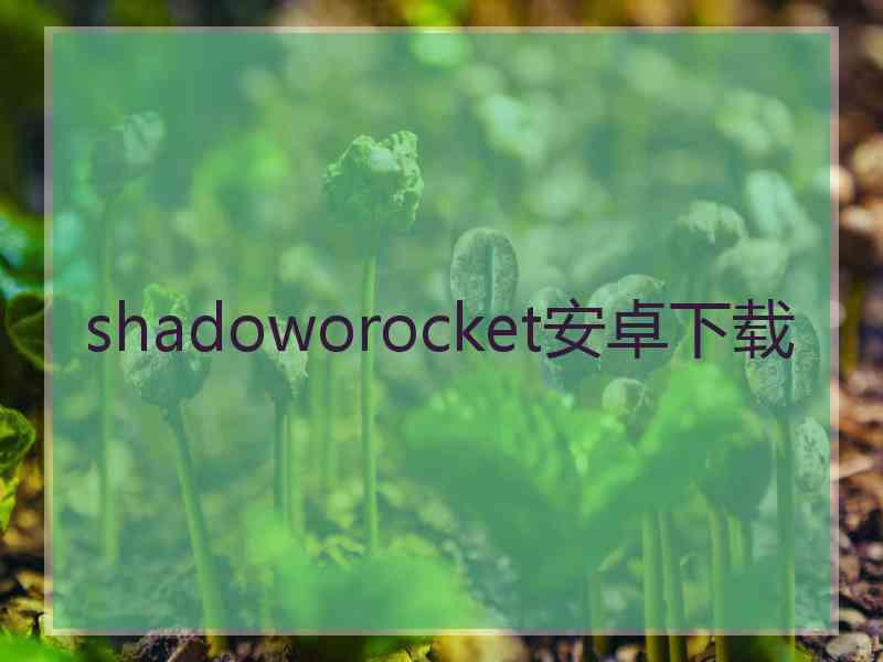 shadoworocket安卓下载