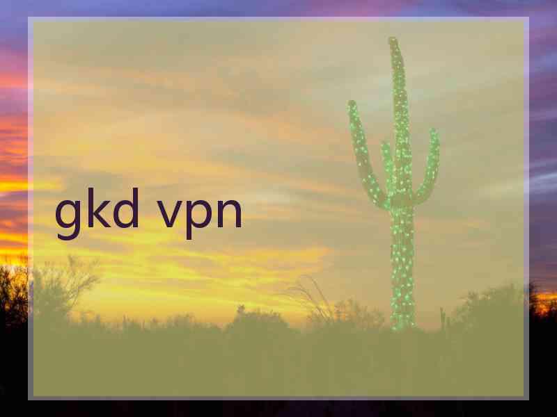 gkd vpn