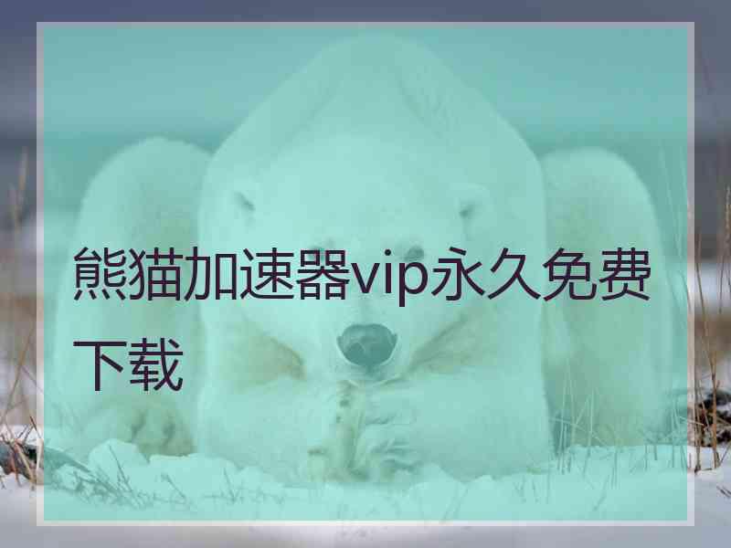 熊猫加速器vip永久免费下载