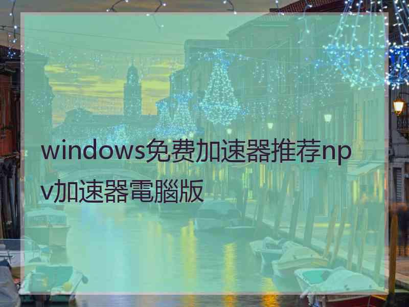 windows免费加速器推荐npv加速器電腦版