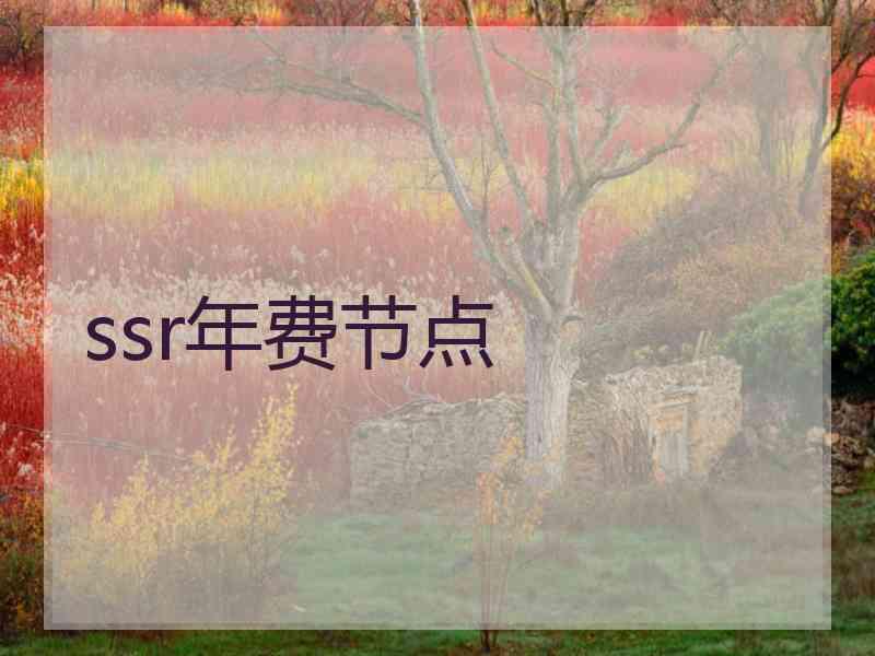 ssr年费节点