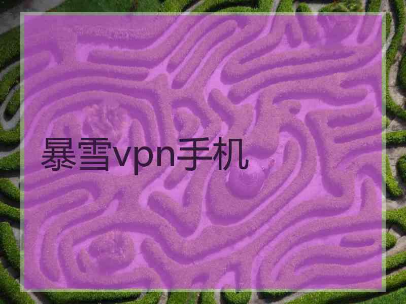 暴雪vpn手机