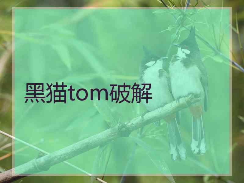 黑猫tom破解